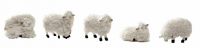 Produktbild zu: Wollschafe-Set (6 Tiere)
