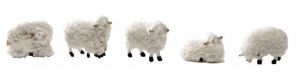 Produktbild zu: Wollschafe-Set (6 Tiere)