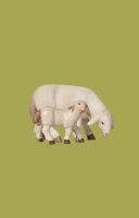 Produktbild zu: Schaf äsend mit Lamm
