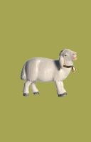 Produktbild zu: Schaf stehend mit Glocke, rechtsschauend