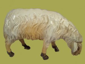 Produktbild zu: Schaf äsend